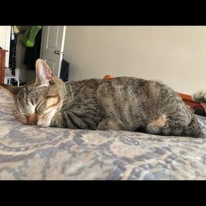 Meet your Posher, Julia